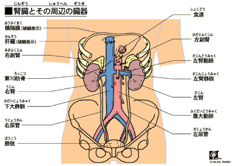 左 みぞおち の 痛み